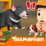 Witness21  2023 09 23