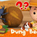 Witness21  2023 10 07