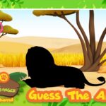 Witness21  2023 10 27