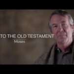 Witness21 Editor  2023 10 02