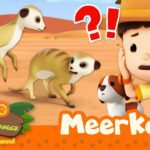 Witness21  2023 10 28