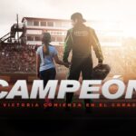 Witness21 Editor  2023 10 01