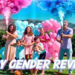 Family outdoors celebrating a baby gender reveal with pink and blue smoke bursts and balloons in the background.