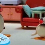 Good Times with Pingu 🐧 | Pingu – Official Channel | Cartoons For Kids - Kids (0-4), Kingdom Kids Zone - Pingu - Official Channel