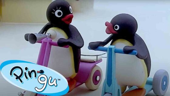 Pingu Surprises Everyone 🐧 | Pingu – Official Channel | Cartoons For Kids - Kids (0-5), Kingdom Kids Zone - Pingu - Official Channel