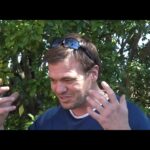 Witness21 Editor  2023 11 19