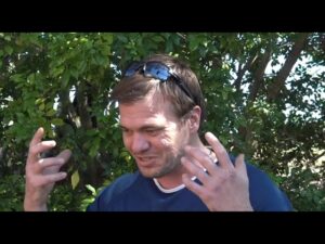 Witness21 Editor  2023 11 19