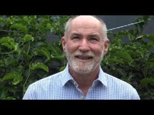 Witness21 Editor  2023 11 19