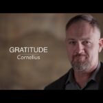 Witness21 Editor  2023 11 08