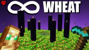 I Turned the Entire End into Wheat (don't ask why) - Gameplay, Kingdom Kids Zone, Minecraft - CringyGull