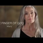 Witness21 Editor  2023 11 08