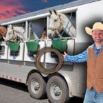 Smiling cowboy in a straw hat and brown vest stands beside a horse trailer; horses lean from the stalls with green feed buckets nearby.