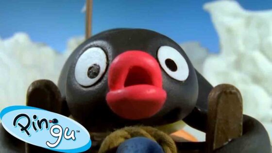 Pingu Gets Competitive 🐧 | Pingu – Official Channel | Cartoons For Kids - Kids (0-5), Kingdom Kids Zone - Pingu - Official Channel