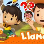 Witness21  2023 11 10