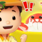 Witness21  2023 11 23