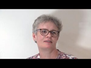 Witness21 Editor  2023 11 25