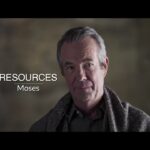 Witness21 Editor  2023 11 08