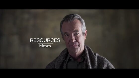 Witness21 Editor  2023 11 08