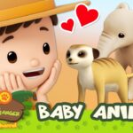 Witness21  2023 11 18