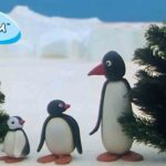 Pingu is Thankful 🐧 | Pingu – Official Channel | Cartoons For Kids - Kids (0-5), Kingdom Kids Zone - Pingu - Official Channel
