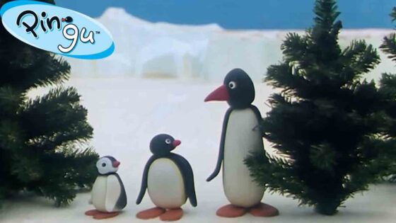 Pingu is Thankful 🐧 | Pingu – Official Channel | Cartoons For Kids - Kids (0-5), Kingdom Kids Zone - Pingu - Official Channel