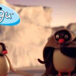 Pingu's Favorite Time of the Year 🐧 | Pingu – Official Channel | Cartoons For Kids - Kids (0-4), Kingdom Kids Zone - Pingu - Official Channel