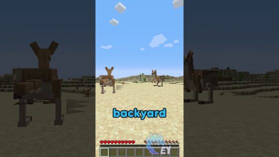 Every 10 seconds is a New Minecraft Server… - Gameplay, Kingdom Kids Zone, Minecraft - EYstreem