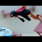Pingu the Superhero 🐧 | Pingu – Official Channel | Cartoons For Kids - Kids (0-4), Kingdom Kids Zone - Pingu - Official Channel