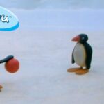 Pingu's Family and Friends 🐧 | Pingu – Official Channel | Cartoons For Kids - Kids (0-4), Kingdom Kids Zone - Pingu - Official Channel