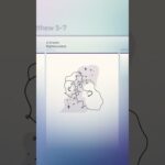 Witness21 Editor  2023 12 13