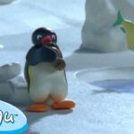 Pingu and the Fish Flute 🐧 | Pingu – Official Channel | Cartoons For Kids - Kids (0-4), Kingdom Kids Zone - Pingu - Official Channel
