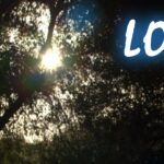 Witness21 Editor  2023 12 28