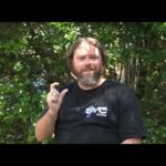 Witness21 Editor  2023 12 07