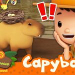 Witness21  2023 12 02