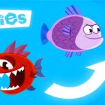 There's Always a BIGGER Fish! | The Fixies | 4 Hours of Educational Content for Kids - Kingdom Kids Zone, Little Learners - The Fixies