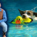Man in plaid shirt and brown vest sits with a white dog wearing a cowboy hat by a poolside with a leash