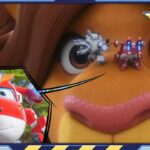 Witness21 Editor  2023 12 30