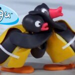 Pingu's Favorite Pastimes 🐧 | Pingu – Official Channel | Cartoons For Kids - Kids (0-4), Kingdom Kids Zone - Pingu - Official Channel