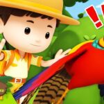 Witness21 Editor  2024 01 05