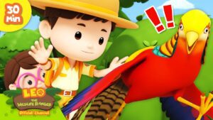 Witness21 Editor  2024 01 05