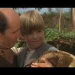 Witness21 Editor  2024 01 12