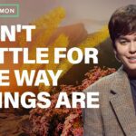 Witness21  2024 01 25