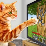 I Taught My Cats to Beat Minecraft in Real Life - Gameplay, Kingdom Kids Zone, Minecraft - EYstreem