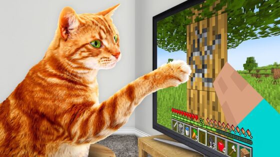 I Taught My Cats to Beat Minecraft in Real Life - Gameplay, Kingdom Kids Zone, Minecraft - EYstreem