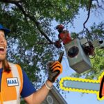 Lawn Mowers For Children | Tree Trimming | Awesome Kid Songs - Kingdom Kids Zone, Sing With Me - Handyman Hal - Music for Kids