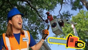 Lawn Mowers For Children | Tree Trimming | Awesome Kid Songs - Kingdom Kids Zone, Sing With Me - Handyman Hal - Music for Kids