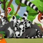 Witness21 Editor  2024 01 20