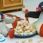 Pingu at Home 🐧 | Pingu – Official Channel | Cartoons For Kids - Kids (0-5), Kingdom Kids Zone - Pingu - Official Channel
