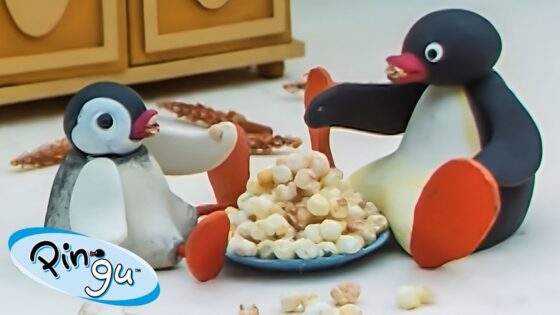 Pingu at Home 🐧 | Pingu – Official Channel | Cartoons For Kids - Kids (0-5), Kingdom Kids Zone - Pingu - Official Channel