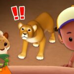 Witness21 Editor  2024 02 17